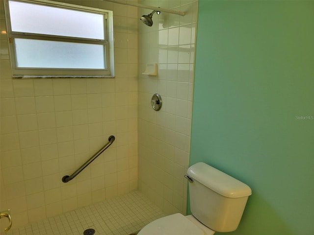 3586 Eversholt St, Clermont, FL 34711 - bathroom featuring toilet and a shower stall