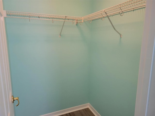 3586 Eversholt St, Clermont, FL 34711 - walk in closet with wood finished floors