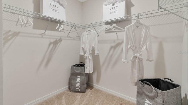 walk in closet featuring carpet