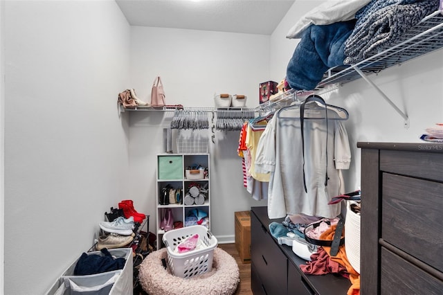 walk in closet featuring wood finished floors