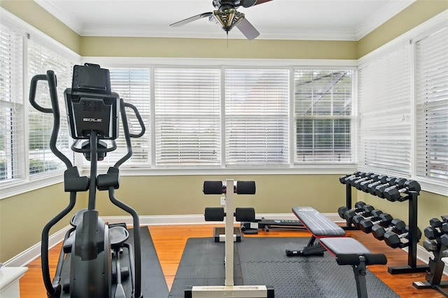 workout area featuring baseboards, wood finished floors, ceiling fan, and ornamental molding