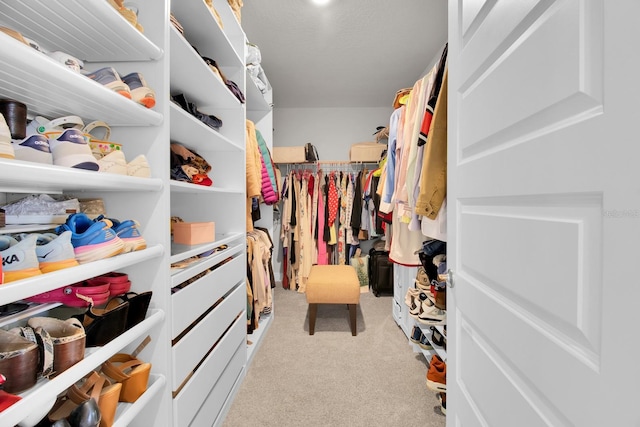 spacious closet with light colored carpet