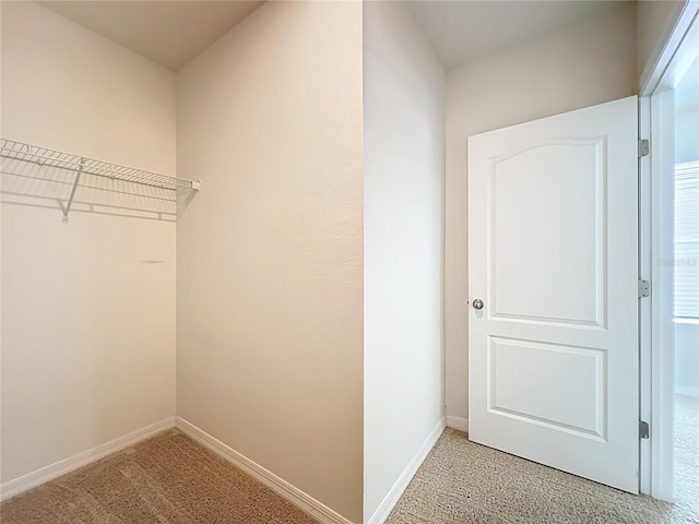 walk in closet with light colored carpet