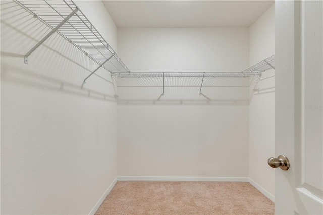 1535 Barberry Dr, Kissimmee, FL 34744 - spacious closet featuring carpet flooring