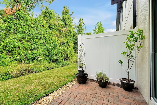 view of yard featuring a patio