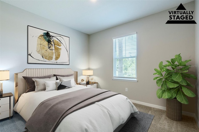 507 Daylily Blvd, Nokomis, FL 34275 - bedroom with carpet flooring and baseboards
