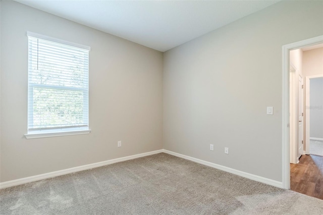 507 Daylily Blvd, Nokomis, FL 34275 - carpeted empty room with baseboards