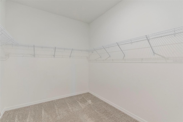 507 Daylily Blvd, Nokomis, FL 34275 - spacious closet featuring light colored carpet