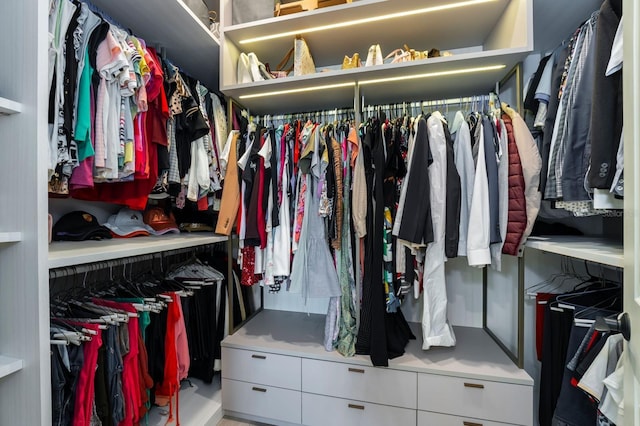 view of spacious closet