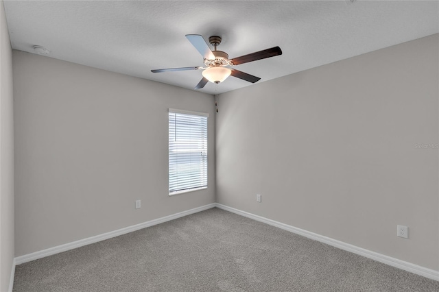 10357 Scarlet Skimmer Dr, Riverview, FL 33578 - photo 16
