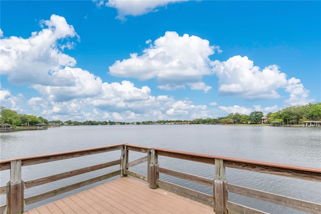 dock area with a water view