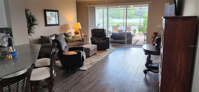 living area featuring dark wood-style floors