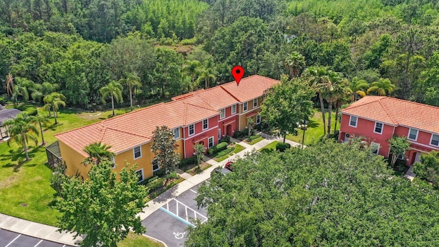 3064 Yellow Lantana Ln, Kissimmee, FL 34747 - photo 28