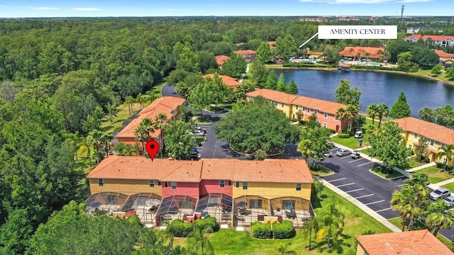 3064 Yellow Lantana Ln, Kissimmee, FL 34747 - photo 30