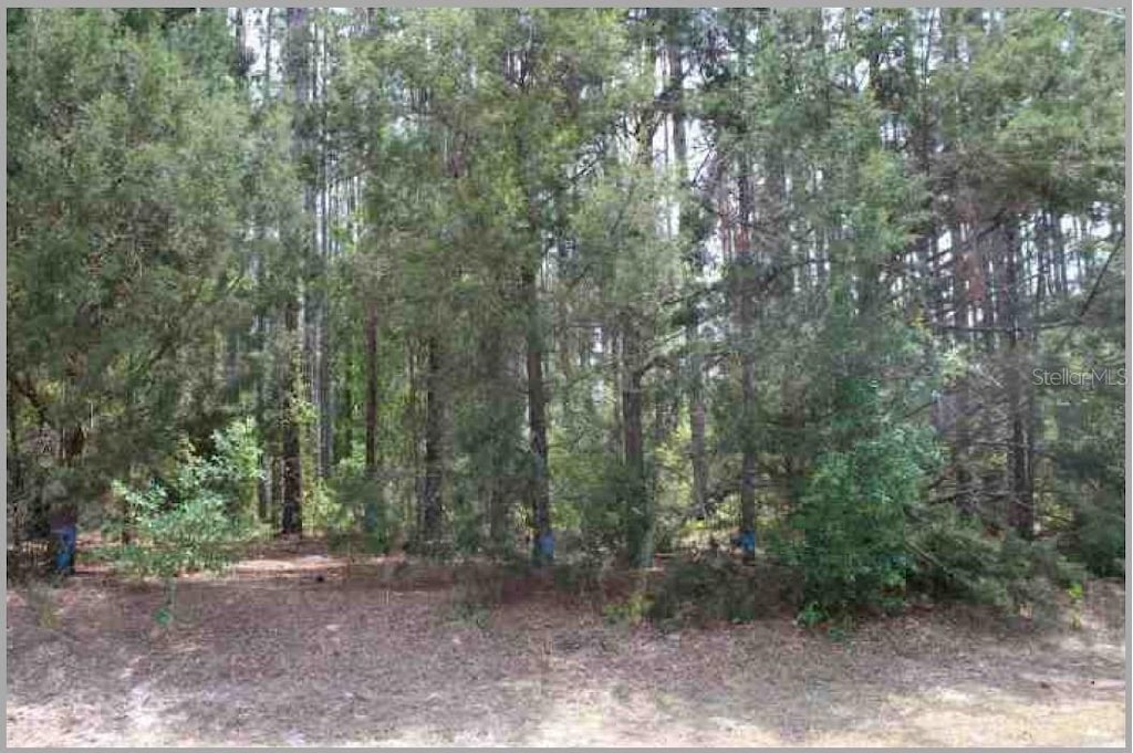 Bill Collins Rd, Eustis, FL 32736 - photo 1