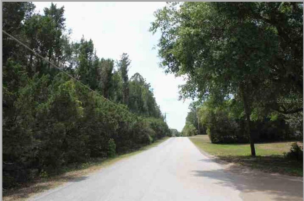 Bill Collins Rd, Eustis, FL 32736 - photo 2