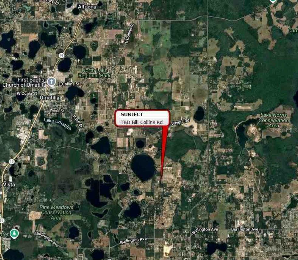 Bill Collins Rd, Eustis, FL 32736 - photo 3