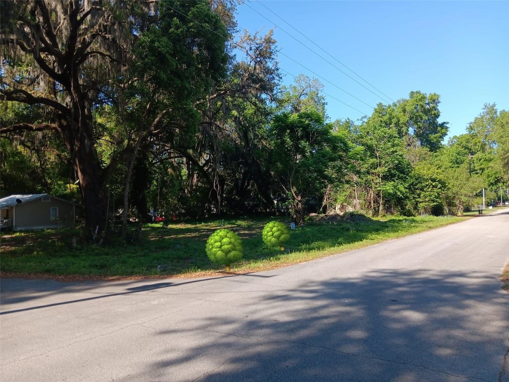 3506 Whitehall St, Palatka, FL 32177 - photo 2