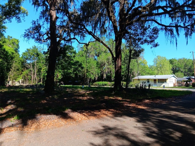 3506 Whitehall St, Palatka, FL 32177 - photo 4