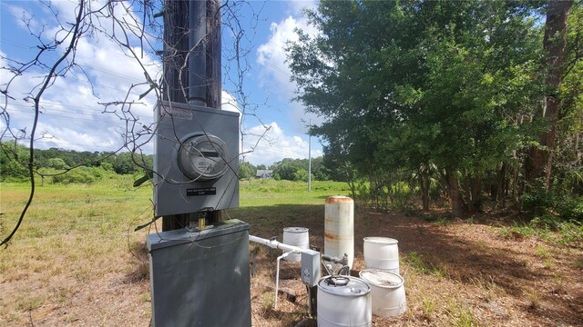 4161 Old Bartow Eagle Lake Rd, Bartow, FL 33830 - photo 4