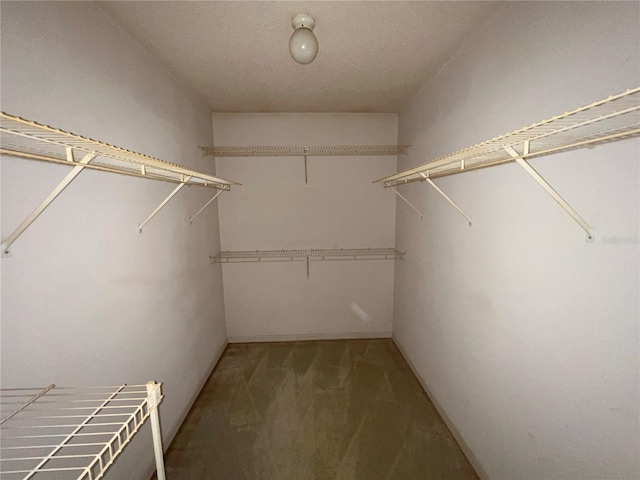 6042 Wade St, Leesburg, FL 34748 - walk in closet with carpet