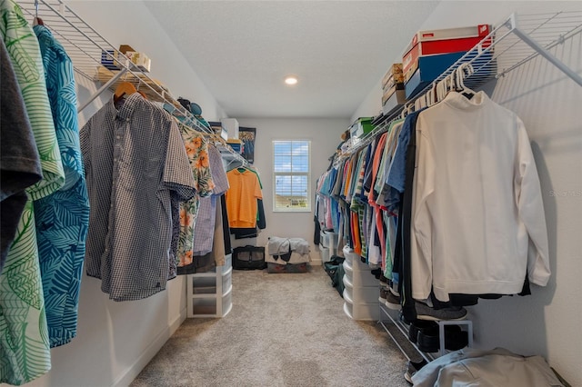 walk in closet with carpet flooring