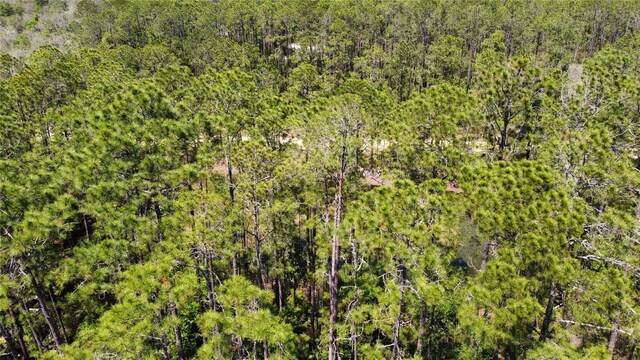 Hudson, Interlachen, FL 32148