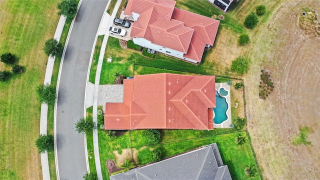 bird's eye view
