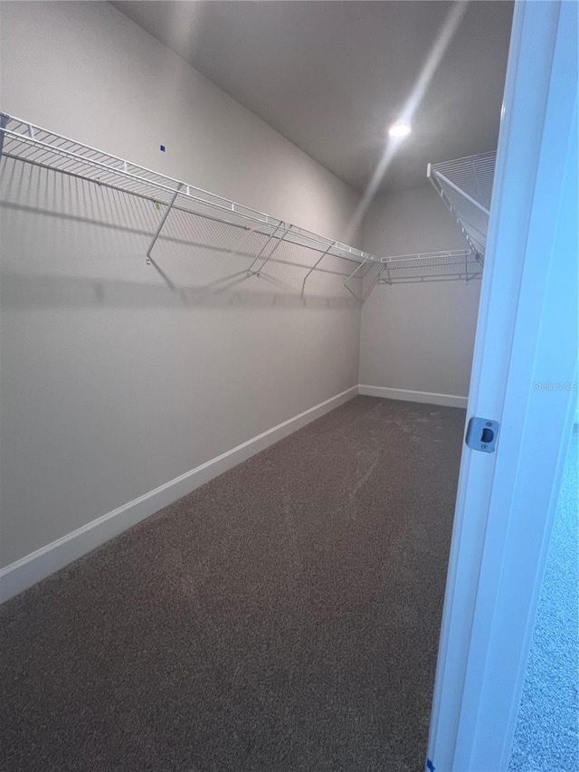 walk in closet featuring dark carpet