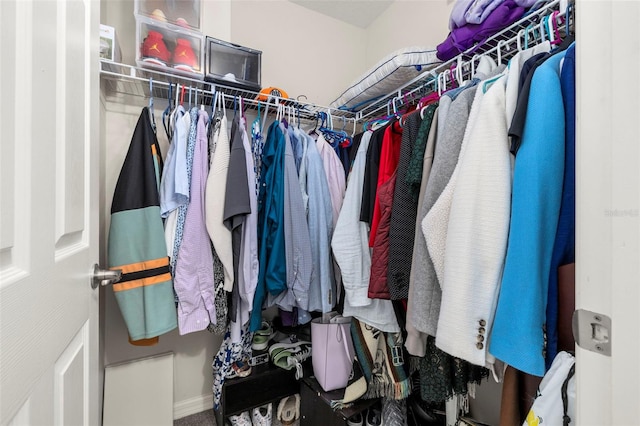 view of walk in closet