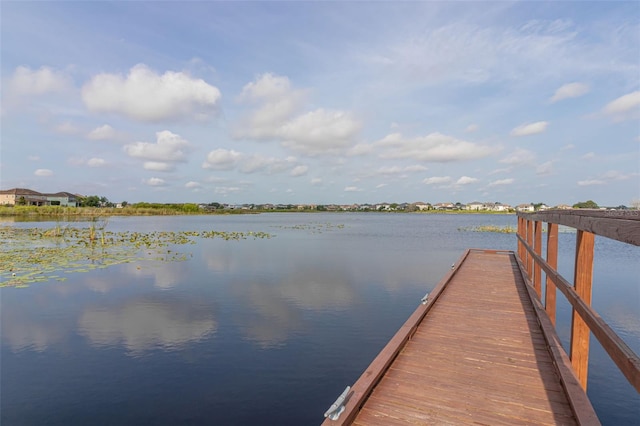 dock area with a water view