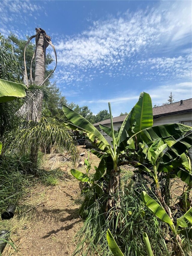 7506 Mott Ave, Orlando, FL 32810 - photo 10