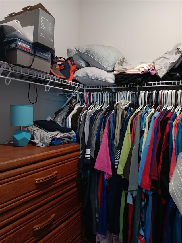view of spacious closet