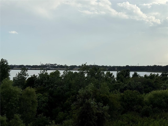 6336 Buford St Unit 307, Orlando, FL 32835 - water view