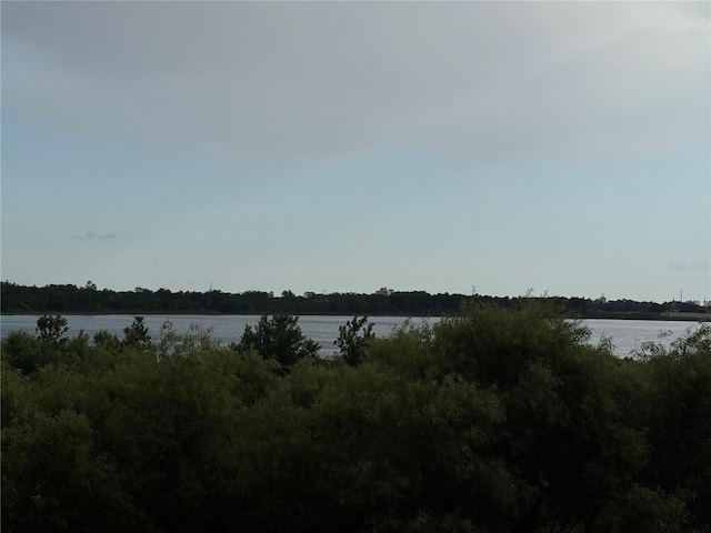 6336 Buford St Unit 307, Orlando, FL 32835 - property view of water