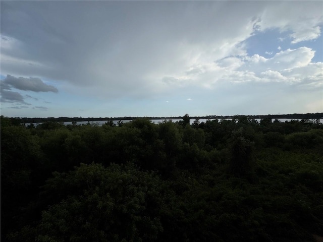 6336 Buford St Unit 307, Orlando, FL 32835 - view of nature with a wooded view