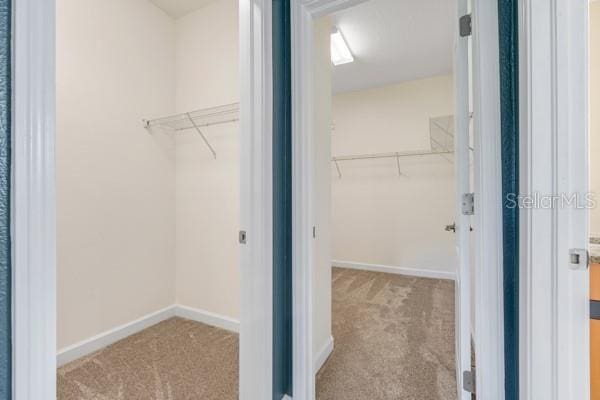 5839 Tarleton Way, Mount Dora, FL 32757 - spacious closet featuring carpet flooring