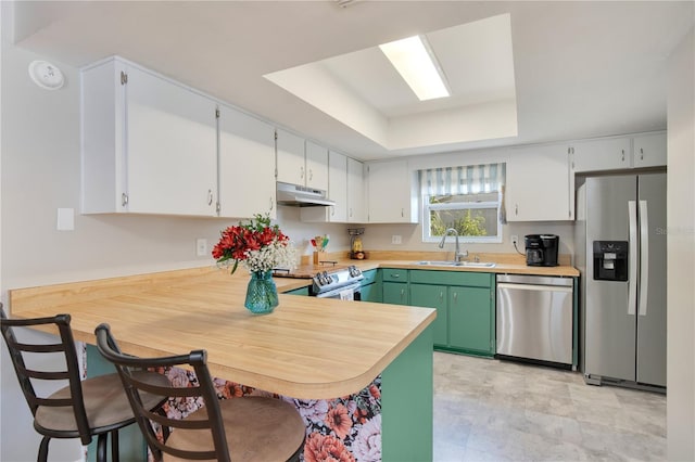 kitchen featuring a tray ceiling, a sink, light countertops, under cabinet range hood, and stainless steel appliances