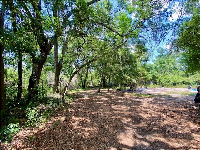 910 S Lake Pleasant Rd, Apopka, FL 32703 - photo 1