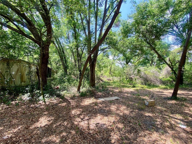 910 S Lake Pleasant Rd, Apopka, FL 32703 - photo 4