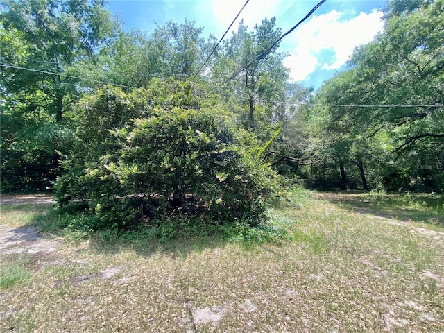 910 S Lake Pleasant Rd, Apopka, FL 32703 - photo 5