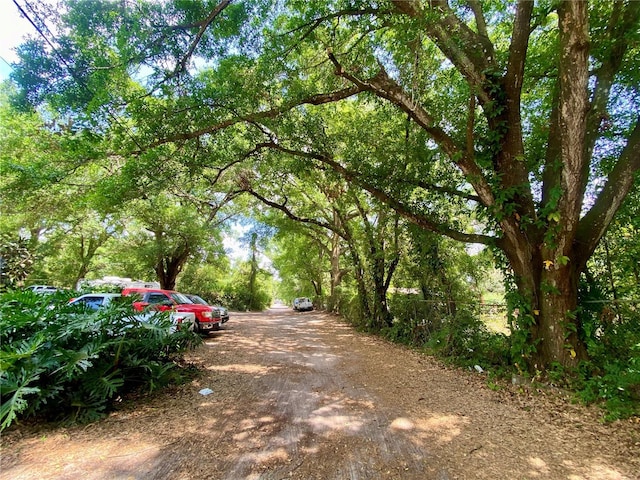 910 S Lake Pleasant Rd, Apopka, FL 32703 - photo 9