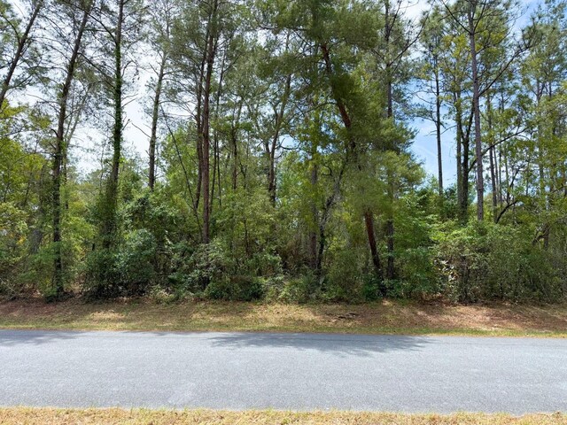 0 SW 151st Pl, Ocala, FL 34473