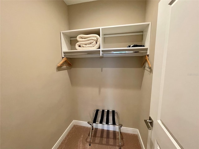 walk in closet with carpet
