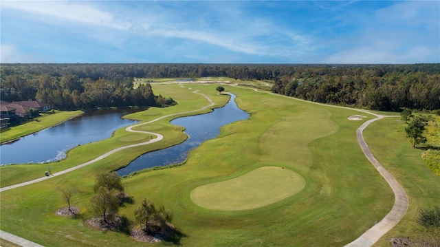274 Brunswick Dr, Davenport, FL 33837 - drone / aerial view of a forest, a large body of water, and a golf course