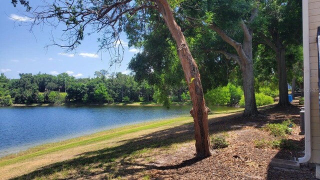 1071 S Hiawassee Rd Unit 1211, Orlando, FL 32835 - property view of water