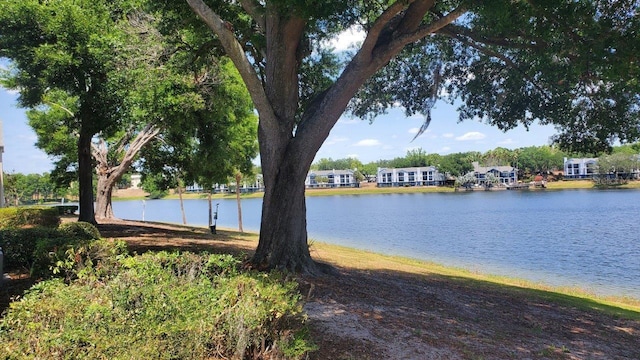 1071 S Hiawassee Rd Unit 1211, Orlando, FL 32835 - view of water feature