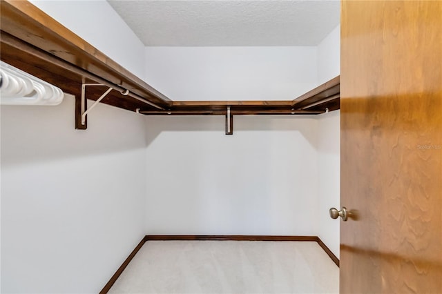 walk in closet featuring carpet flooring