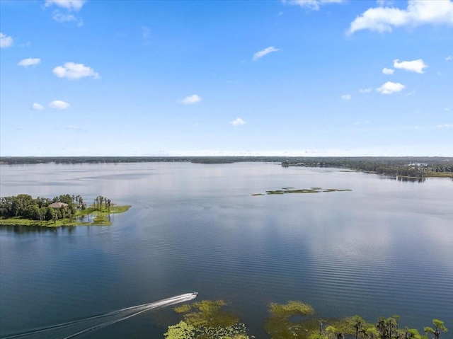 11502 Waterstone Loop Dr, Windermere, FL 34786 - water view