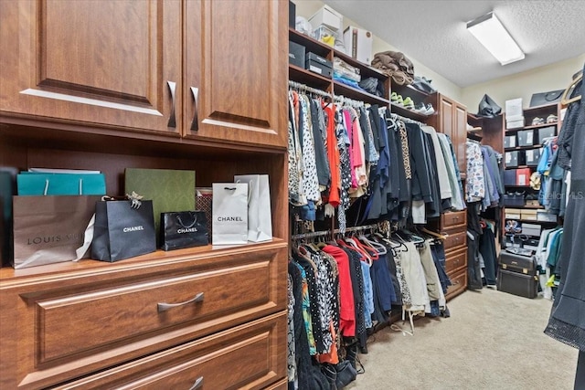 11502 Waterstone Loop Dr, Windermere, FL 34786 - spacious closet with carpet flooring